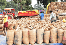 नारायणपुर : खरीफ विपणन वर्ष 2021-22…