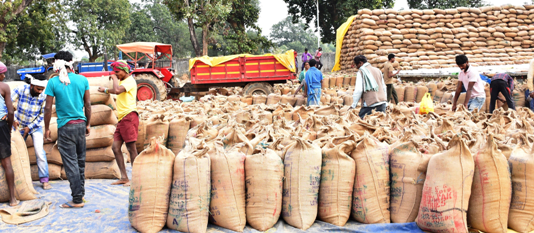 नारायणपुर : खरीफ विपणन वर्ष 2021-22…