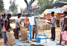 रायपुर : राज्य में धान खरीदी का आंकड़ा 19.25 लाख मीटरिक टन के पार : धान खरीदी के एवज में 5.54 लाख किसानों को 3328.92 करोड़ रूपए का भुगतान…