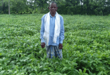 कोरबा : नवा छत्तीसगढ़ के 36 माह शासकीय मदद से उन्नत खेती की ओर अग्रसर हो रहे जिले के किसान…