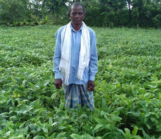 कोरबा : नवा छत्तीसगढ़ के 36 माह शासकीय मदद से उन्नत खेती की ओर अग्रसर हो रहे जिले के किसान…