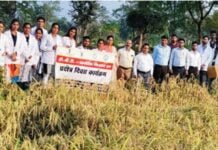 राजनांदगांव : आदिवासी अंचल अंबागढ़ चौकी में कृषि विज्ञान केन्द्र राजनांदगांव द्वारा प्रक्षेत्र दिवस कार्यक्रम का हुआ आयोजन…