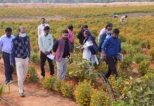 राजनांदगांव :गौठान में महिलाओं की आय बढ़ाने के लिए कार्य करें – कलेक्टर…