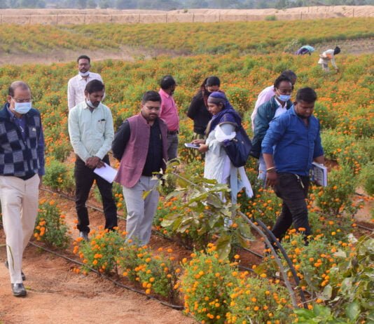 राजनांदगांव :गौठान में महिलाओं की आय बढ़ाने के लिए कार्य करें – कलेक्टर…