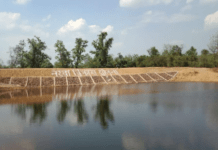 रायपुर : नरवा विकास योजना : अचानकमार टाईगर रिजर्व के वन्यप्राणियों के रहवास सुधार में काफी मददगार…