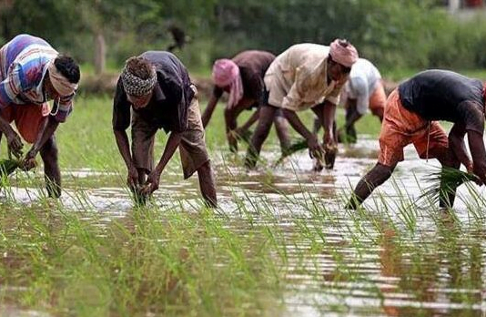 महासमुंद : राजीव गांधी ग्रामीण भूमिहीन कृषि मजदूर न्याय योजनांतर्गत प्राप्त हुए 36421 आवेदन : दावा आपत्ति 24 तारीख़ तक, निराकरण उपरांत पात्र परिवार इस योजना से जुड़ जाएँगे…