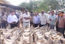 राजनांदगांव : प्रभारी सचिव डॉ. प्रसन्ना आर ने ग्राम ढोलपिट्टा के बैगा जनजाति के किसान से शासन द्वारा वनाधिकार पट्टा से प्राप्त भूमि से धान उत्पादन के लाभ के बारे में ली जानकारी…