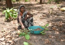 राजनांदगांव : जिले में समर्थन मूल्य पर लघुवनोपज खरीदी से लघुवनोपज संग्राहकों को मिली 2 करोड़ 19 लाख 50 हजार रूपए की राशि…