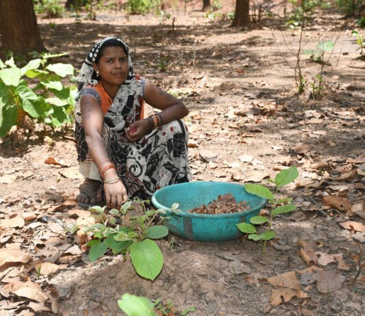 राजनांदगांव : जिले में समर्थन मूल्य पर लघुवनोपज खरीदी से लघुवनोपज संग्राहकों को मिली 2 करोड़ 19 लाख 50 हजार रूपए की राशि…