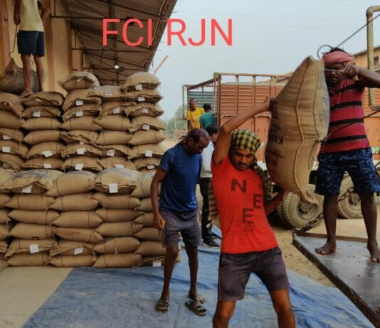 राजनांदगांव : जिले के भारतीय खाद्य निगम में चावल जमा होना प्रारंभ…