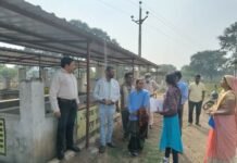 राजनांदगांव : सीईओ जिला पंचायत ने गौठान एवं नरवा के कार्यों का किया निरीक्षण…