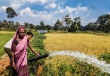 राजनांदगांव : नक्सल प्रभावित ग्रामों में महिला कृषकों की मुस्कान बनी सौर सुजला योजना…