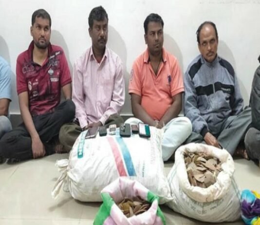 छत्तीसगढ़ : पैंगोलिन की तस्करी, 6 तस्करों को वन विभाग ने पकड़ा, 53 किलो से ज्यादा खाल बरामद…