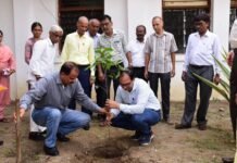 राजनांदगांव : कलेक्टोरेट परिसर में हुआ पौधरोपण…