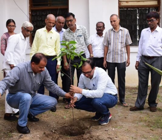 राजनांदगांव : कलेक्टोरेट परिसर में हुआ पौधरोपण…