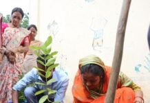 रायपुर : एक पेड़ माँ के नाम : महिला एवं बाल विकास मंत्री श्रीमती लक्ष्मी राजवाड़े ने किया पौधारोपण…