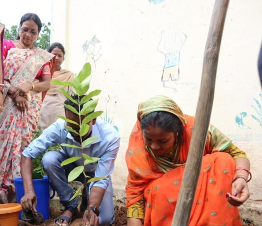 रायपुर : एक पेड़ माँ के नाम : महिला एवं बाल विकास मंत्री श्रीमती लक्ष्मी राजवाड़े ने किया पौधारोपण…