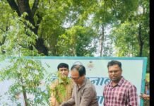 राजनांदगांव : हरियर राजनांदगांव के लिये कलेक्टर अग्रवाल ने बंगला में लगाये नीम व बेल के पौधे…