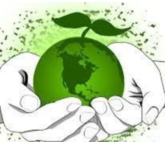 रायपुर : छत्तीसगढ़ के सभी स्कूलों में होगा इको क्लब गठन…