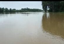 राजनांदगांव : जिले में अब तक औसत 567.6 मिमी वर्षा दर्ज ,घुमका तहसील मे हुई सर्वाधिक वर्षा…