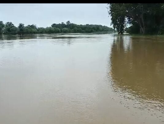 राजनांदगांव : जिले में अब तक औसत 567.6 मिमी वर्षा दर्ज ,घुमका तहसील मे हुई सर्वाधिक वर्षा…