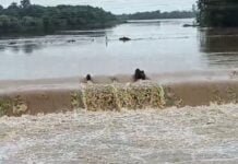 राजनांदगांव : जिले में अब तक औसत 526.5 मिमी वर्षा दर्ज…