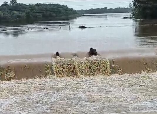 राजनांदगांव : जिले में अब तक औसत 526.5 मिमी वर्षा दर्ज…