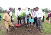 राजनांदगांव : प्रकृति हमें देती है जीवन, प्रकृति से रखें जुड़ाव – कलेक्टर…