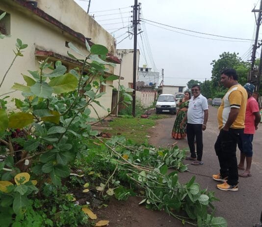 राजनांदगांव: वार्ड में सफाई व्यवस्था में सुधार करें, वार्ड पार्षद अरविंद वर्मा का औचक निरीक्षण…