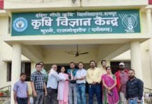 राजनांदगांव : कृषि विज्ञान केन्द्रों की स्वर्ण जयंती के प्रतीकात्मक मशाल को कृषि विज्ञान केन्द्र सुरगी द्वारा कृषि विज्ञान केन्द्र कवर्धा को सौंपा गया…