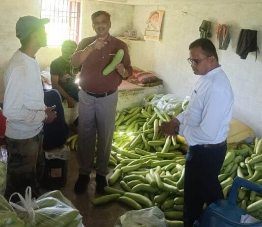 राजनांदगांव : अपर कलेक्टर ने ग्राम नागतराई में राजस्व शिविर एवं ग्राम सभा का किया निरीक्षण…