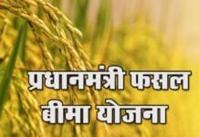 रायपुर : किसान अब 16 अगस्त तक करा सकेंगे फसल बीमा…