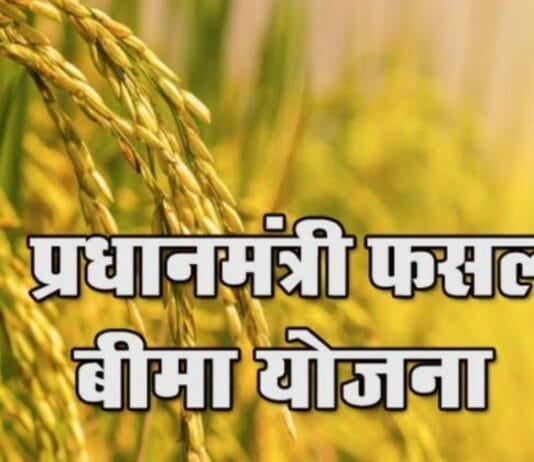 रायपुर : किसान अब 16 अगस्त तक करा सकेंगे फसल बीमा…