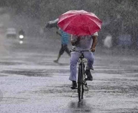 राजनांदगांव : जिले में अब तक औसत 812.6 मिमी वर्षा दर्ज…