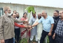 राजनांदगांव : यंग मुस्लिम कमेटी द्वारा ईदगाह मैदान में वृक्षारोपण…