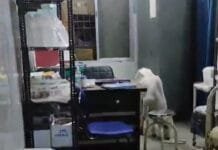 सरकार ने गायों को गोठनों से निकला तो पहुंच गया अस्पताल , खाने को ढूढ़ रहे मल्टीविटामिन दवाई…