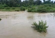 लगातार हो रही बारिश की वजह से नदी नाले ऊफान पर सरकारी ऑफिस के गेट के सामने भरा पानी…