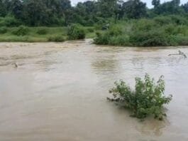 लगातार हो रही बारिश की वजह से नदी नाले ऊफान पर सरकारी ऑफिस के गेट के सामने भरा पानी…