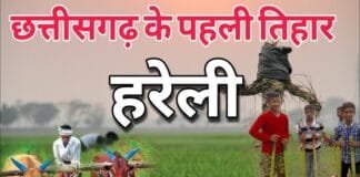 VISION TIMES: जीवन में हरियाली और खुशियों का प्रतीक हरेली तिहार, छत्तीसगढ़ में इस दिन से शुरू होता है पर्वों का सिलसिला…