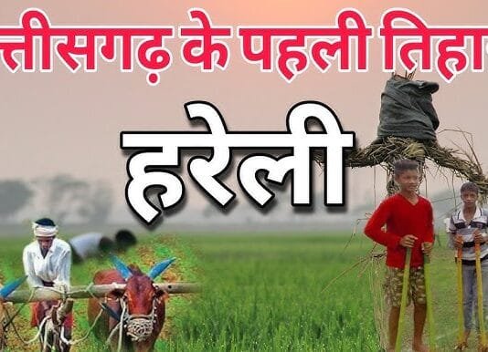 VISION TIMES: जीवन में हरियाली और खुशियों का प्रतीक हरेली तिहार, छत्तीसगढ़ में इस दिन से शुरू होता है पर्वों का सिलसिला…