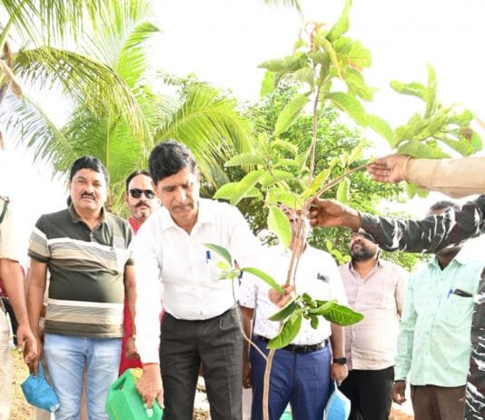 रायपुर : श्री जितेन्द्र कुमार वन महानिदेशक एवं विशेष सचिव पर्यावरण एवं जलवायु परिवर्तन मंत्रालय भारत सरकार ने ‘एक पेड़ मां के नाम अभियान‘ के तहत नंदनवन जंगलसफारी में महुए के पौधे लगाए