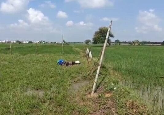 जांजगीर चाम्पा : खेत मे दवा छिड़कने जा रहे किसान की मौत…