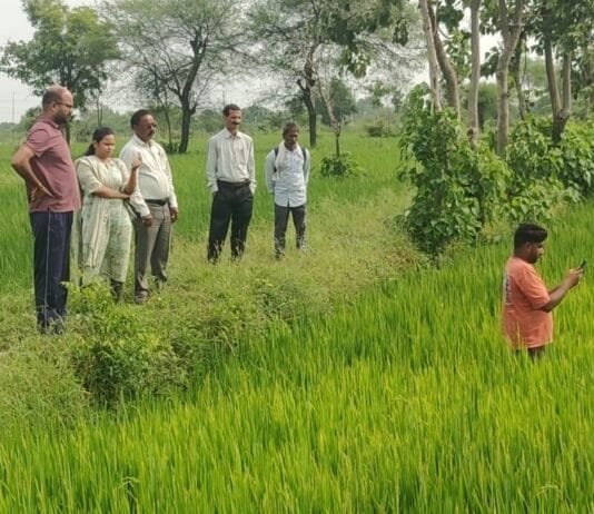 राजनांदगांव : फसल क्षति होने पर त्वरित बीमा भुगतान की मिलेगी सुविधा…