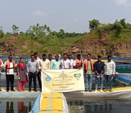 राजनांदगांव : बंद पड़े खदान में केज कल्चर की तर्ज पर महाराष्ट्र में भी होगा मछली पालन…