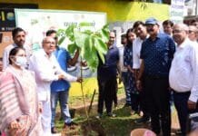 राजनांदगांव : कलेक्टर ने एक पेड़ मां के नाम के तहत कदम का पौधरोपण कर औद्योगिक क्षेत्र को हराभरा रखने के लिए किया प्रोत्साहित…