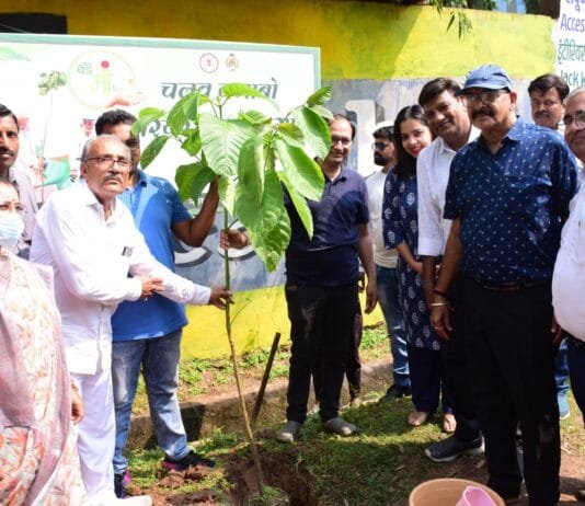 राजनांदगांव : कलेक्टर ने एक पेड़ मां के नाम के तहत कदम का पौधरोपण कर औद्योगिक क्षेत्र को हराभरा रखने के लिए किया प्रोत्साहित…