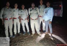 लोमड़ीयो का आतंक जारी, आधा दर्जन लोमड़ीयो ने गांवों में घुसकर 12 लोगों को किया घायल…