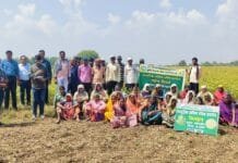 राजनांदगांव : कृषि वैज्ञानिक दल ने किया कृषि विज्ञान केन्द्र राजनांदगांव की तिलहन फसल प्रदर्शन का निरीक्षण…