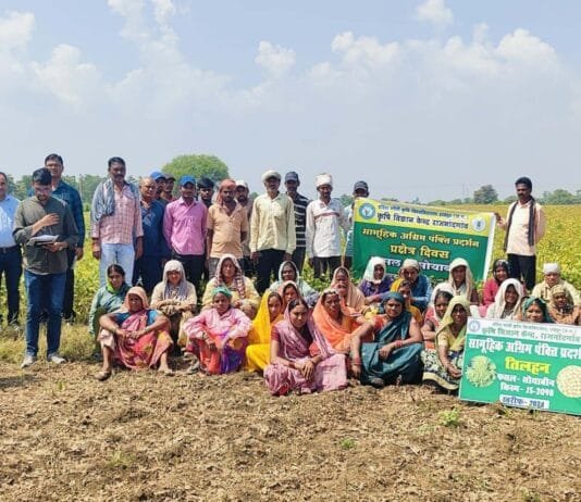 राजनांदगांव : कृषि वैज्ञानिक दल ने किया कृषि विज्ञान केन्द्र राजनांदगांव की तिलहन फसल प्रदर्शन का निरीक्षण…
