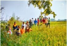 राजनांदगांव: फसलों में कीटप्रकोप की शिकायत मिलने पर कृषि विभाग की टीम पहुंची ग्राम घुमका…